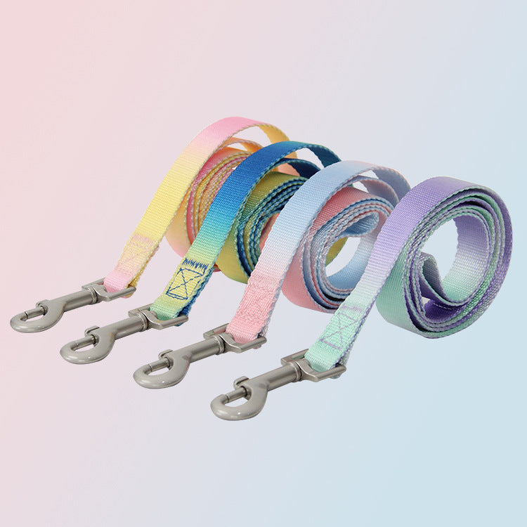 KFX-9360445 Gradient Color Dog Leash Set - Lightweight Nylon with Multiple Color Options