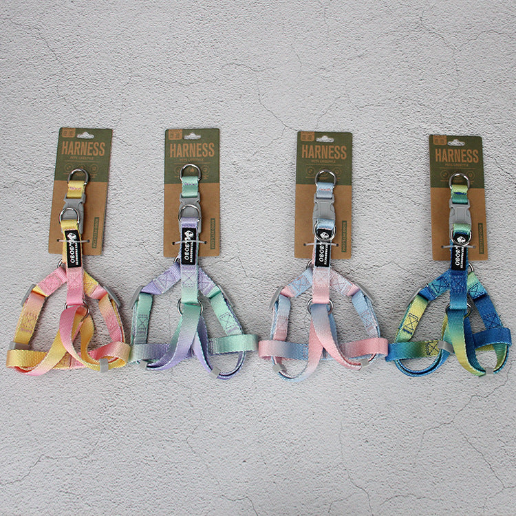 KFX-9360445 Gradient Color Dog Leash Set - Lightweight Nylon with Multiple Color Options