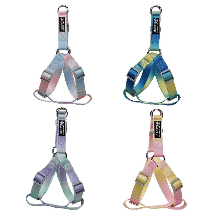 KFX-9360445 Gradient Color Dog Leash Set - Lightweight Nylon with Multiple Color Options