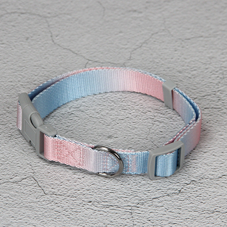 KFX-9360445 Gradient Color Dog Leash Set - Lightweight Nylon with Multiple Color Options