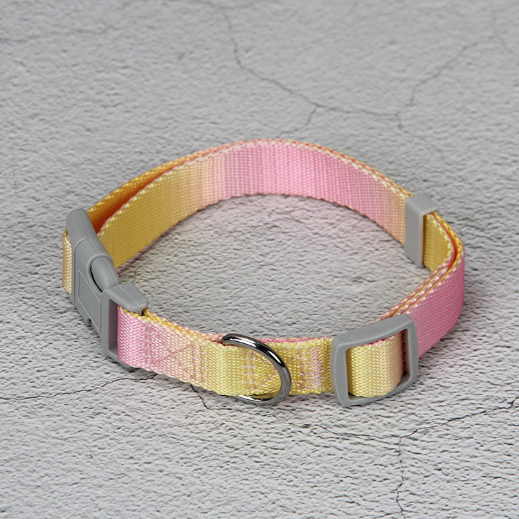 KFX-9360445 Gradient Color Dog Leash Set - Lightweight Nylon with Multiple Color Options