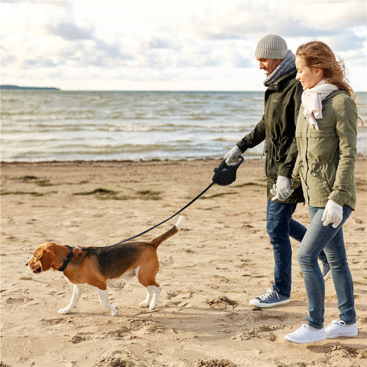 KFX-9366717 Portable 3-in-1 Outdoor Dog Walking Kettle with Hand Holding Rope in Black, Blue, and Red