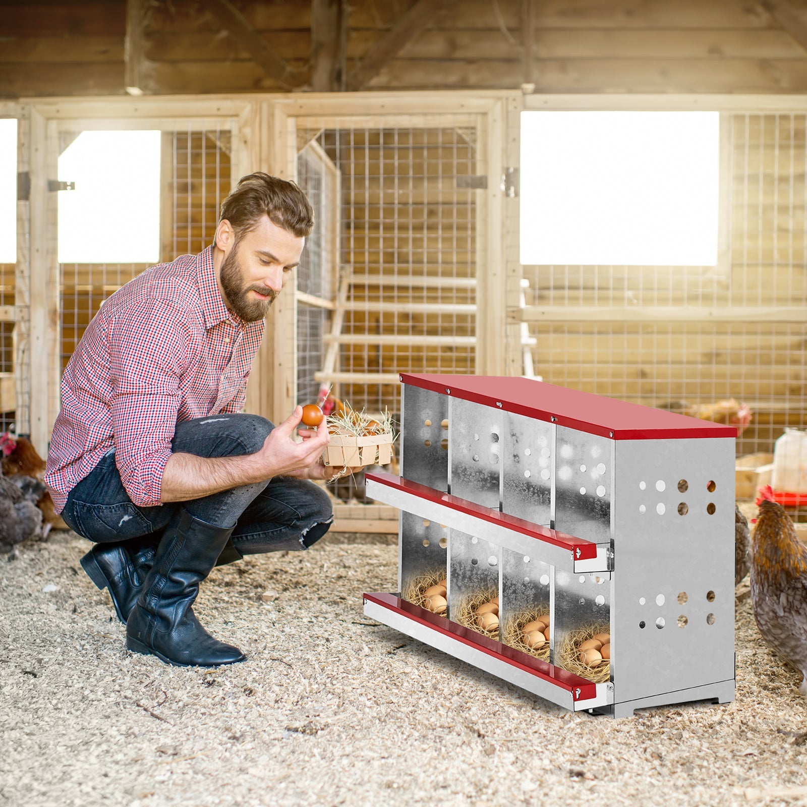KFX-9372861 8 Compartment Steel and Plastic Chicken Nesting Box for Secure Poultry Laying