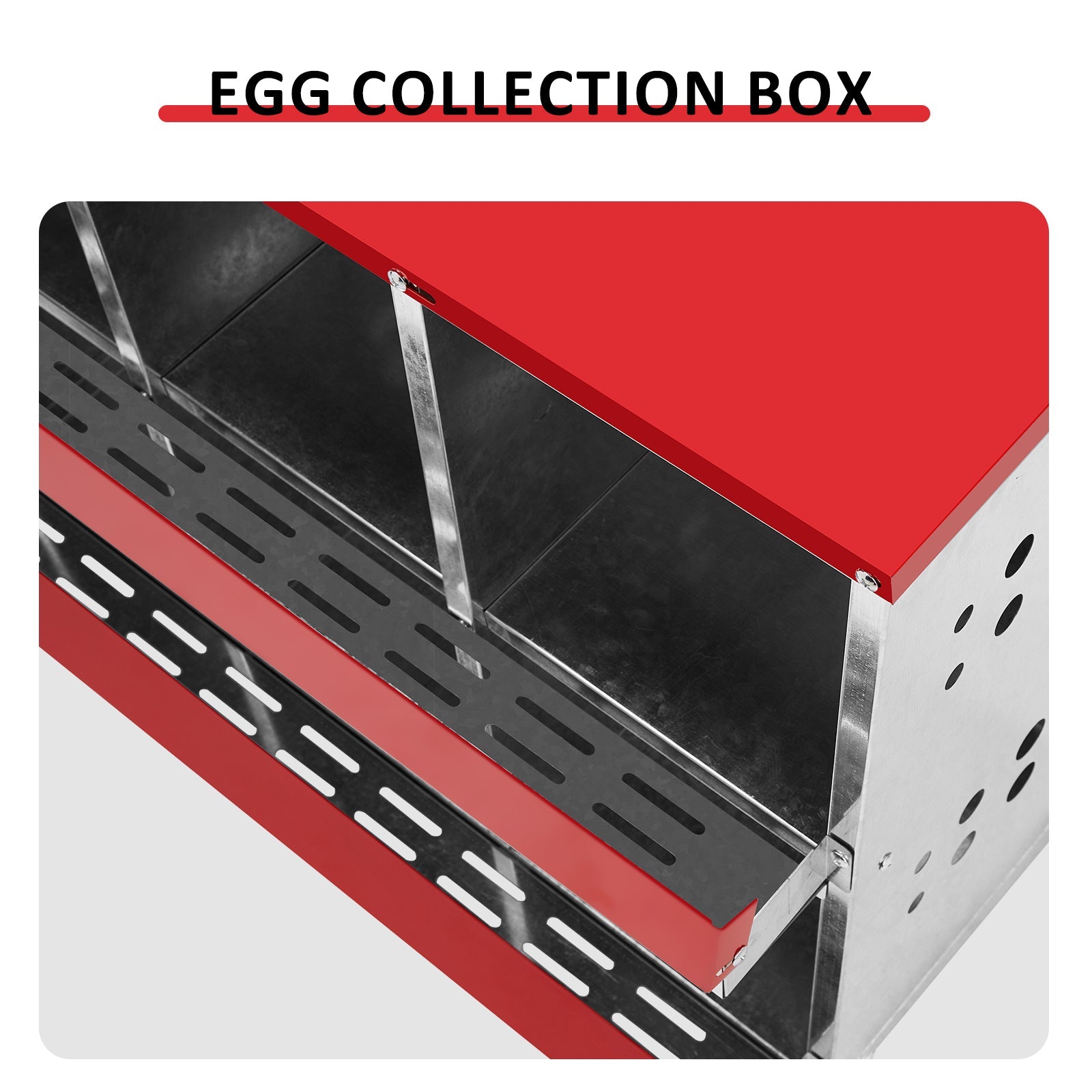 KFX-9372861 8 Compartment Steel and Plastic Chicken Nesting Box for Secure Poultry Laying