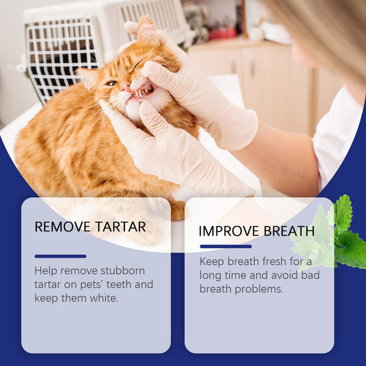 KFX-9374525 Pet Teeth Cleaning Powder for Effective Stain Removal - 40g Natural Ingredients