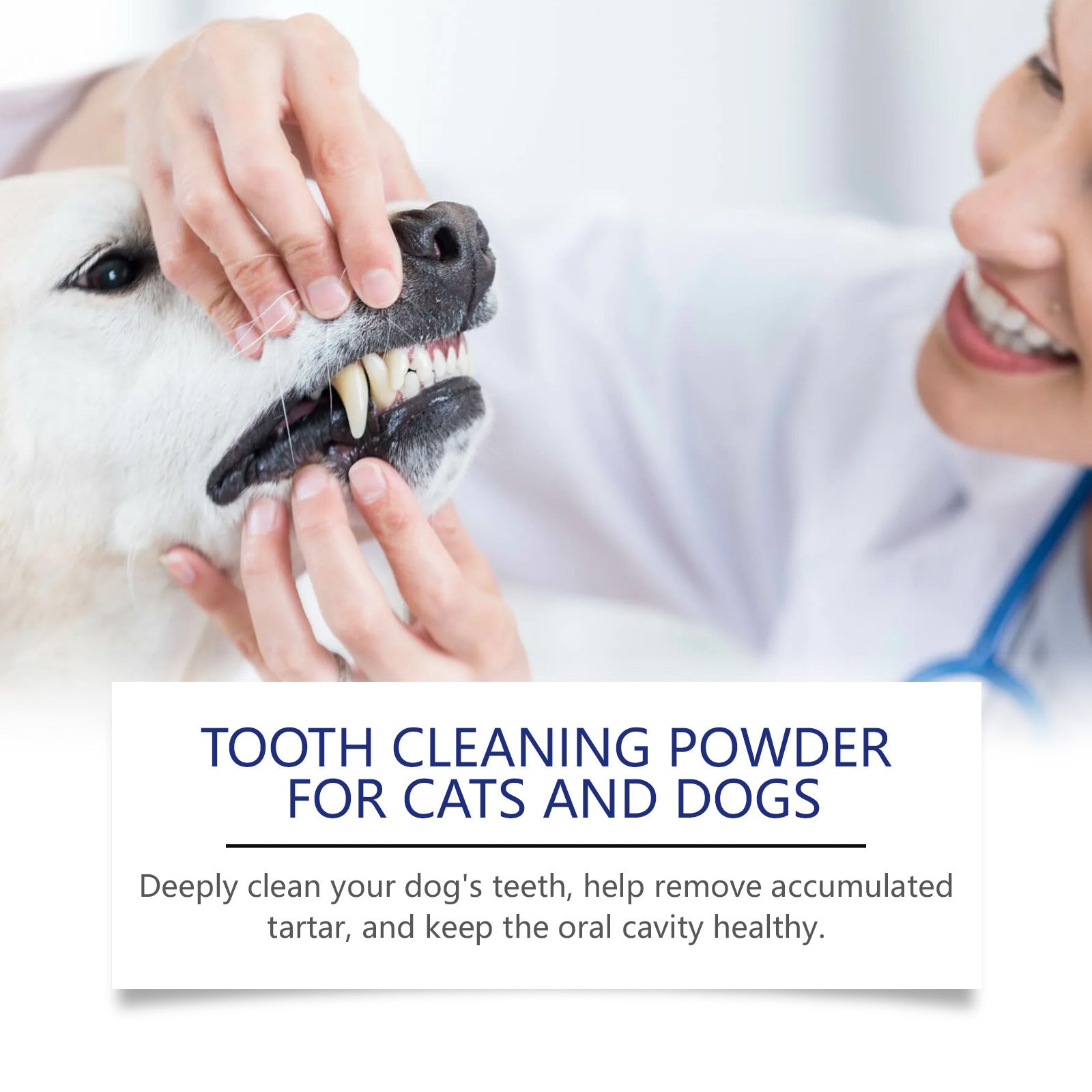 KFX-9374525 Pet Teeth Cleaning Powder for Effective Stain Removal - 40g Natural Ingredients