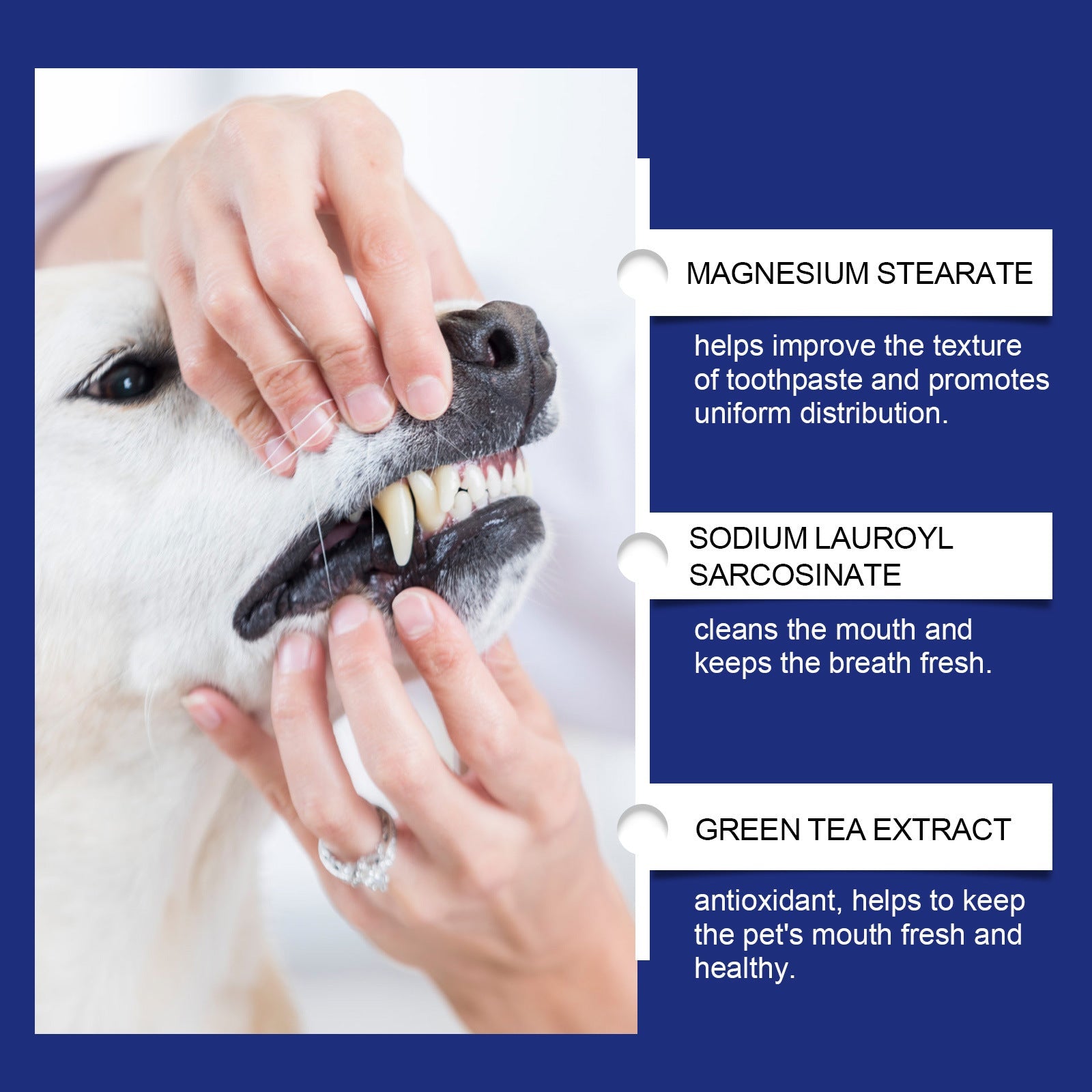 KFX-9374525 Pet Teeth Cleaning Powder for Effective Stain Removal - 40g Natural Ingredients