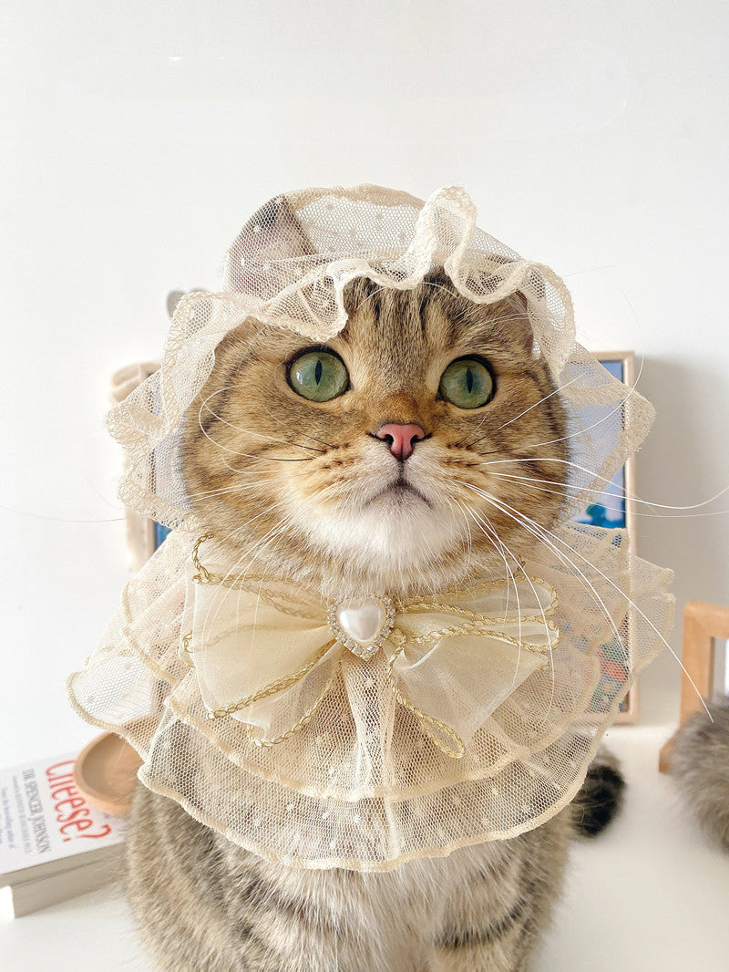 KFX-9376829 Lace Mesh Bibs and Hats Set for Cats and Dogs - Off White and Black, Multiple Sizes Available