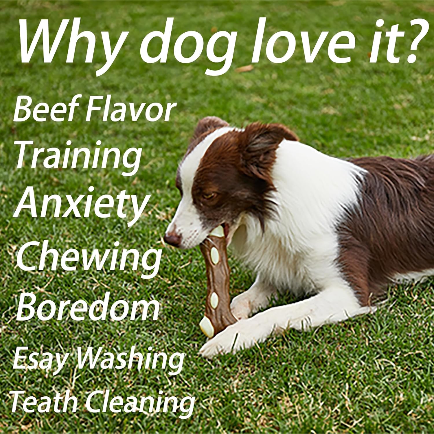 KFX-9385661 Indestructible Dog Chew Bone with Real Beef Flavor - Safe Nylon and Cowhide Teething Toy for All Dog Sizes