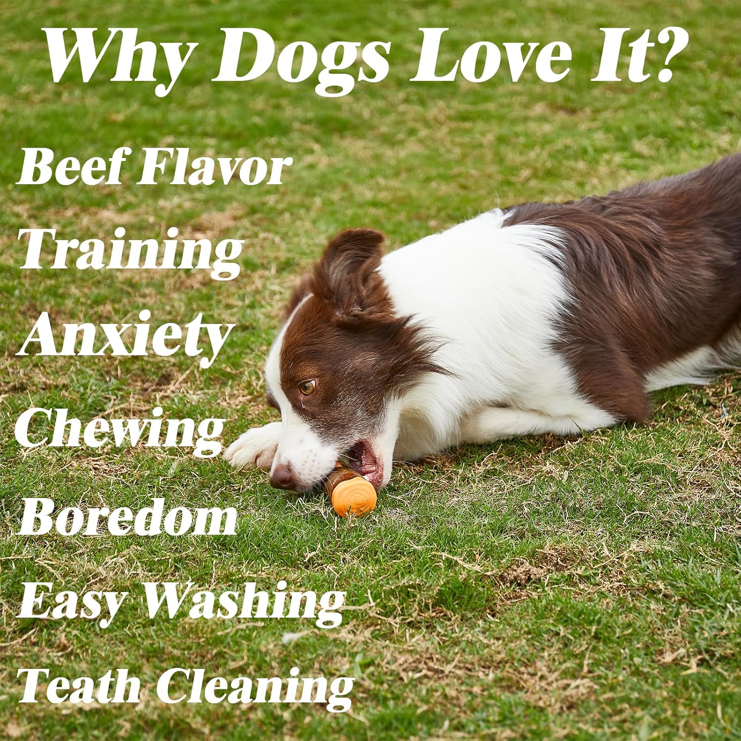 KFX-9385661 Indestructible Dog Chew Bone with Real Beef Flavor - Safe Nylon and Cowhide Teething Toy for All Dog Sizes