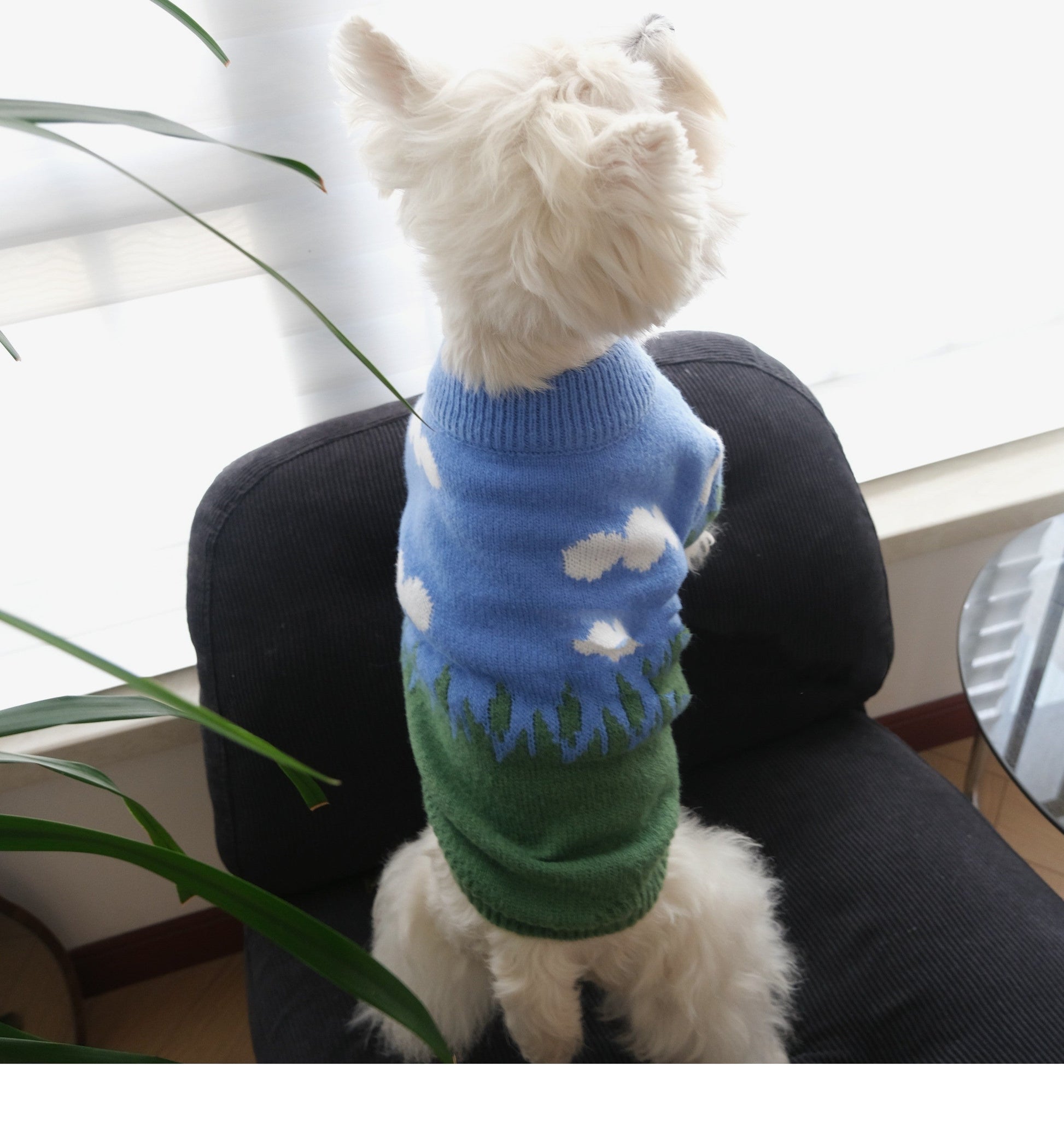 KFX-9405245 Cozy Blue Sky and White Clouds Crew Neck Sweater for Pets