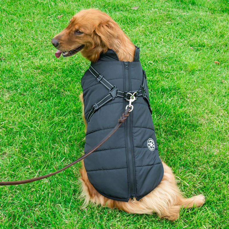KFX-9409853 Winter Hooded Coat Jacket for Small Dogs – Waterproof, Reflective Design, Adjustable Fit