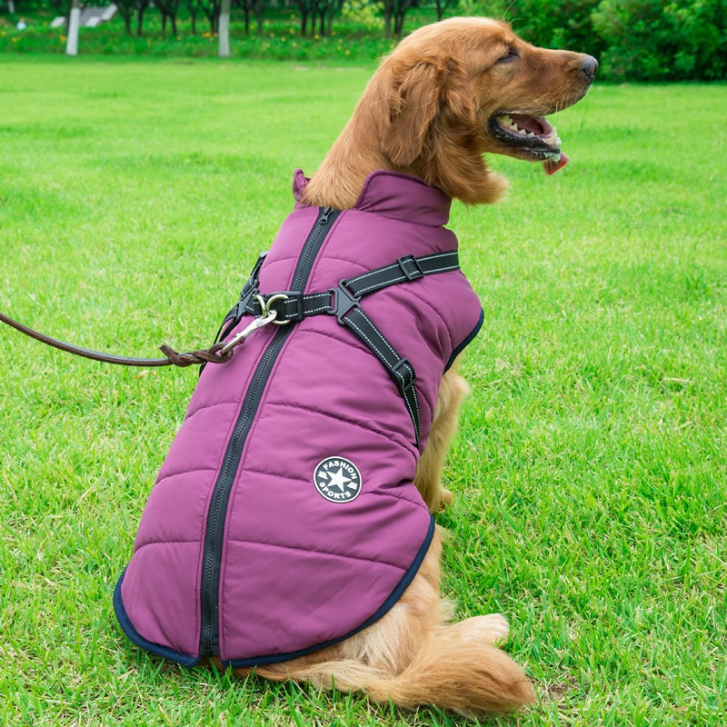 KFX-9409853 Winter Hooded Coat Jacket for Small Dogs – Waterproof, Reflective Design, Adjustable Fit