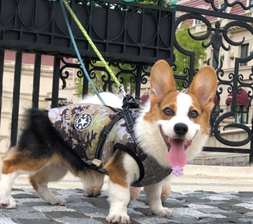 KFX-9409853 Winter Hooded Coat Jacket for Small Dogs – Waterproof, Reflective Design, Adjustable Fit