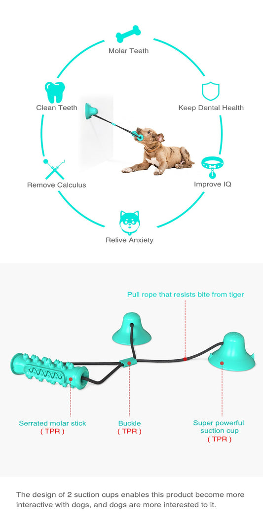 KFX-9410237 Double Suction Cup Molar Dog Toy - Durable Plastic in Lake Blue and Green