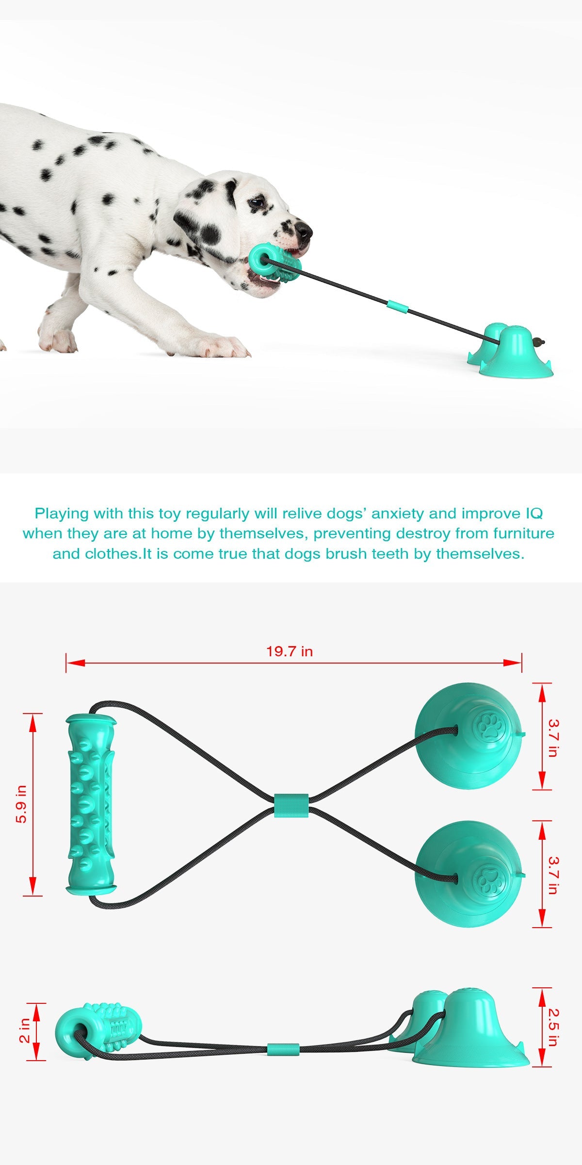 KFX-9410237 Double Suction Cup Molar Dog Toy - Durable Plastic in Lake Blue and Green