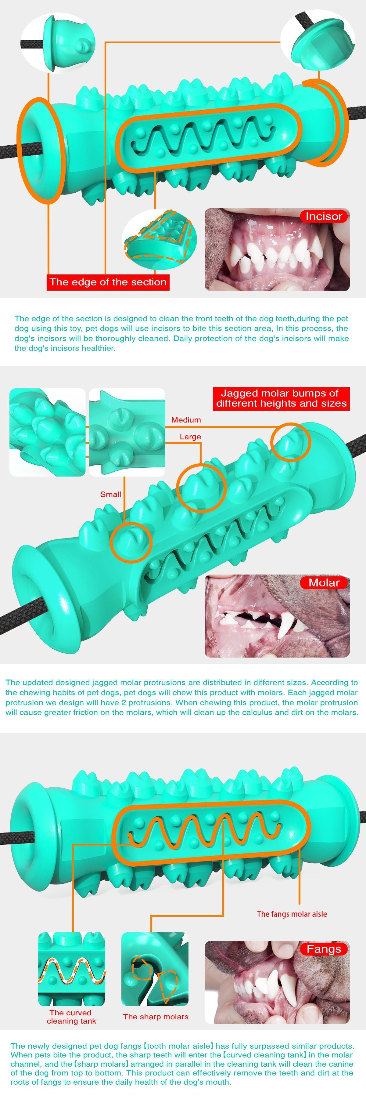 KFX-9410237 Double Suction Cup Molar Dog Toy - Durable Plastic in Lake Blue and Green