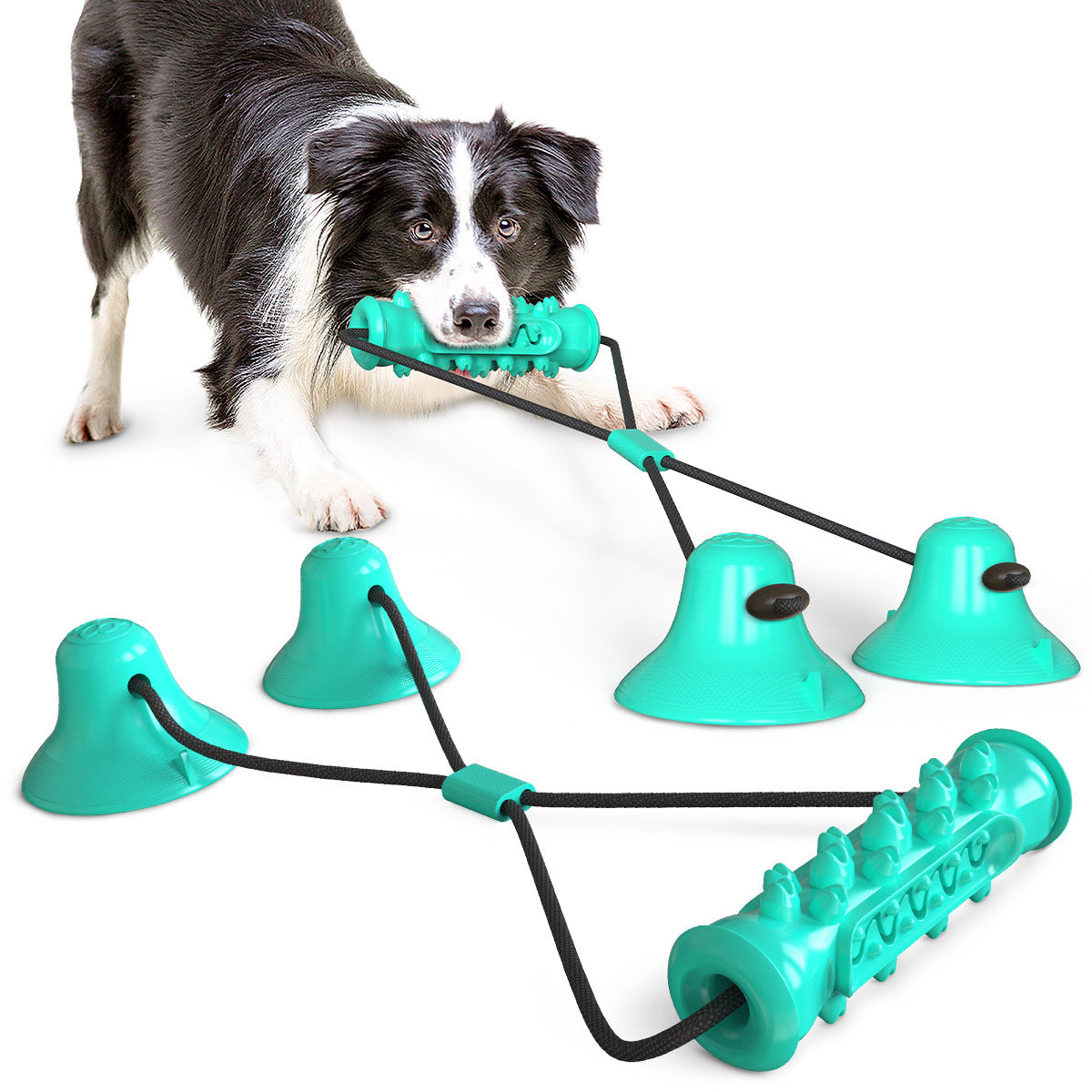 KFX-9410237 Double Suction Cup Molar Dog Toy - Durable Plastic in Lake Blue and Green