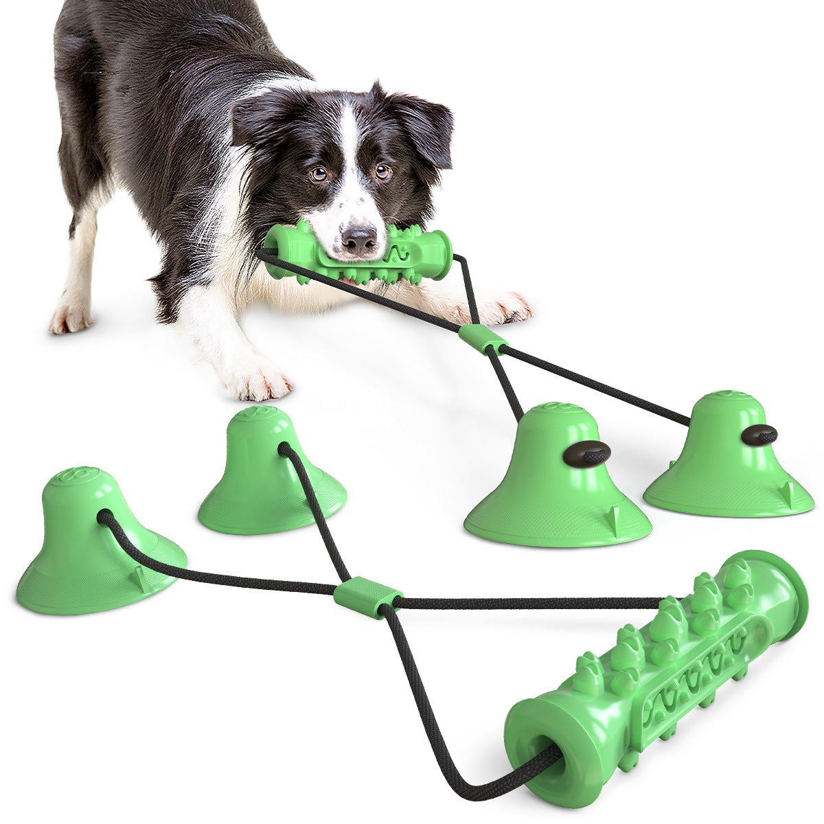 KFX-9410237 Double Suction Cup Molar Dog Toy - Durable Plastic in Lake Blue and Green