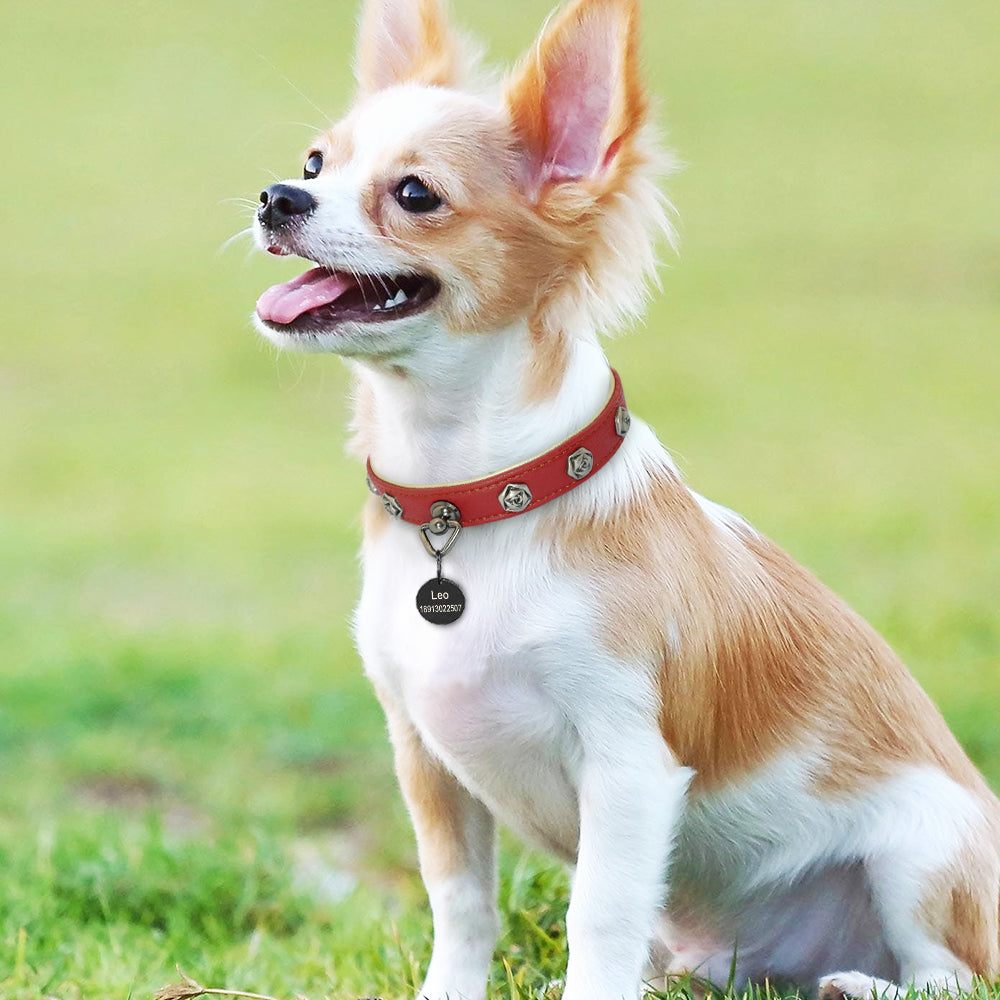 KFX-9417021 Elegant Leather Dog Collar with Custom Rose Nail Design for Small and Medium Breeds