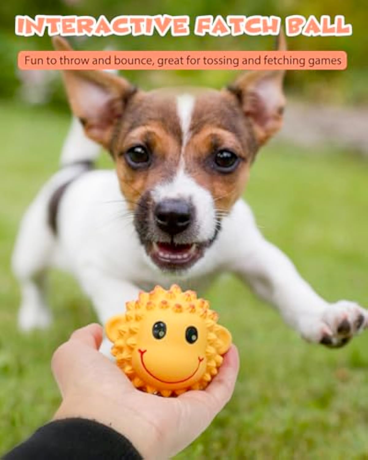 KFX-9418429 Interactive Squeaky Dog Toys - Soft Latex Animal Balls for Fetch and Dental Health