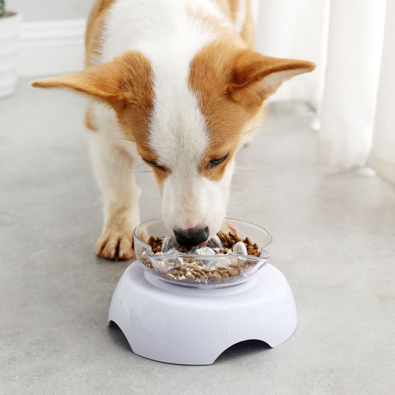 KFX-9421117 Tilted Cat Ear Design Bowl for Cervical Vertebra Protection - White, PP Base and AS Bowl Material