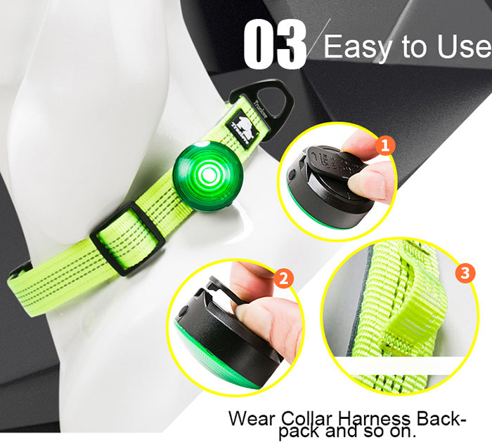 KFX-9435709 Dog Anti-Lost LED Night Light with 3 Modes and Easy Battery Replacement