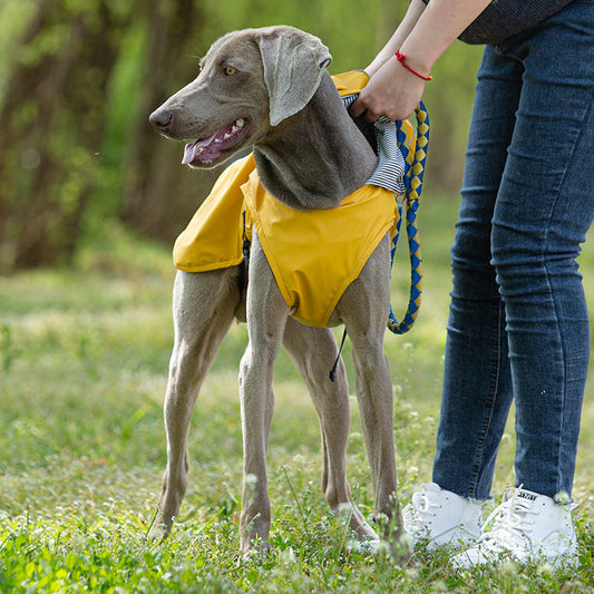 KFX-9440573 Portable PU Raincoat for Medium and Large Pets - Wine Red and Gold