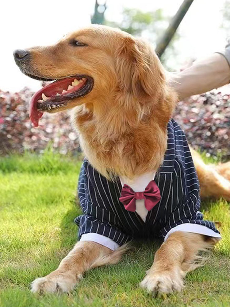 KFX-9444541 Navy Blue Casual Dog Coat for Large Breeds – Sizes 3XL to 7XL