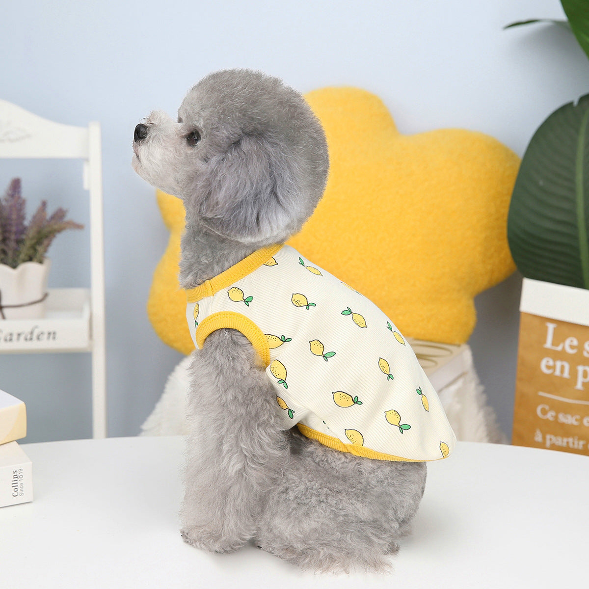 KFX-9448509 Casual Cotton Lemon Vest for Spring and Summer Small to XXL Pet Clothing