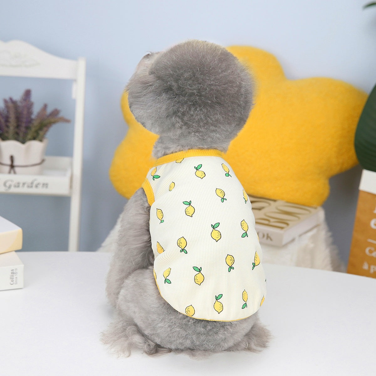 KFX-9448509 Casual Cotton Lemon Vest for Spring and Summer Small to XXL Pet Clothing