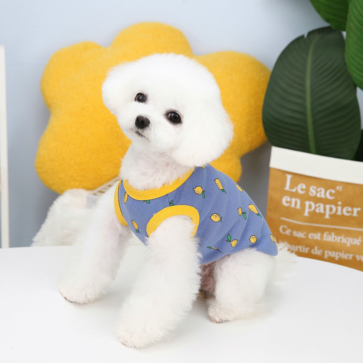 KFX-9448509 Casual Cotton Lemon Vest for Spring and Summer Small to XXL Pet Clothing