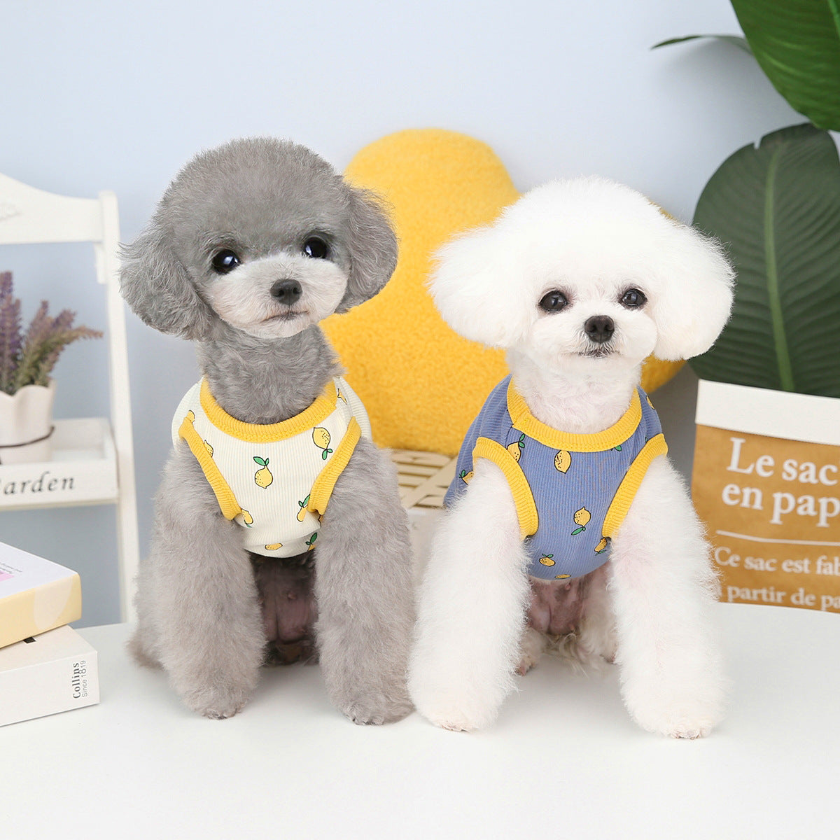 KFX-9448509 Casual Cotton Lemon Vest for Spring and Summer Small to XXL Pet Clothing