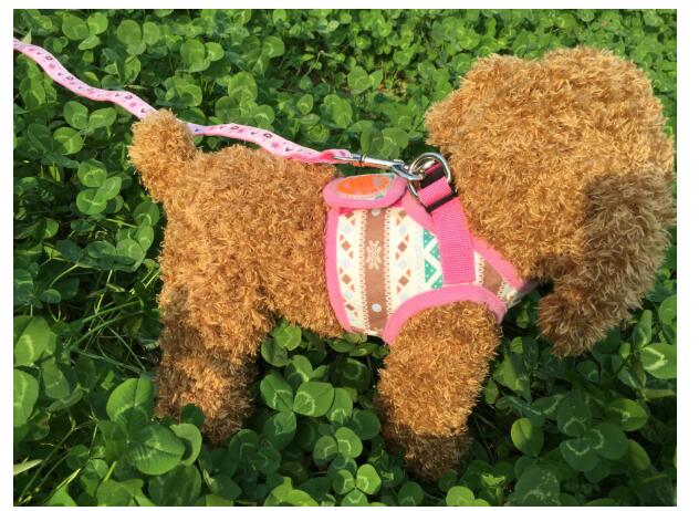 KFX-9452989 Dog Trail Vest with Protective Chest Strap - Adjustable, Durable, Available in Various Stylish Patterns and Sizes S-XL
