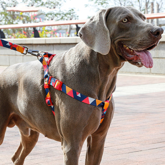 KFX-9453501 Geometric Pattern Polyester Pet Leash and Collar Set