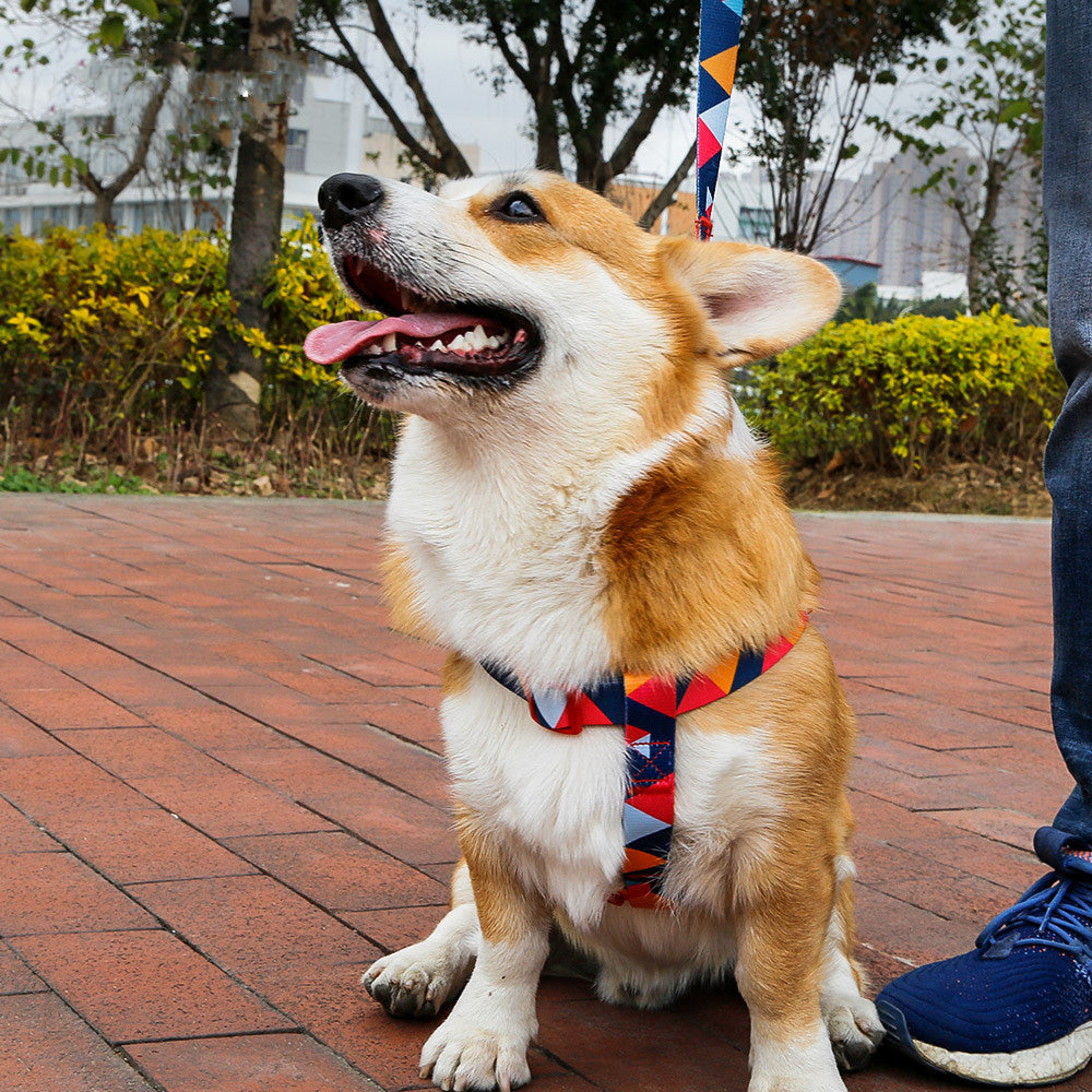 KFX-9453501 Geometric Pattern Polyester Pet Leash and Collar Set