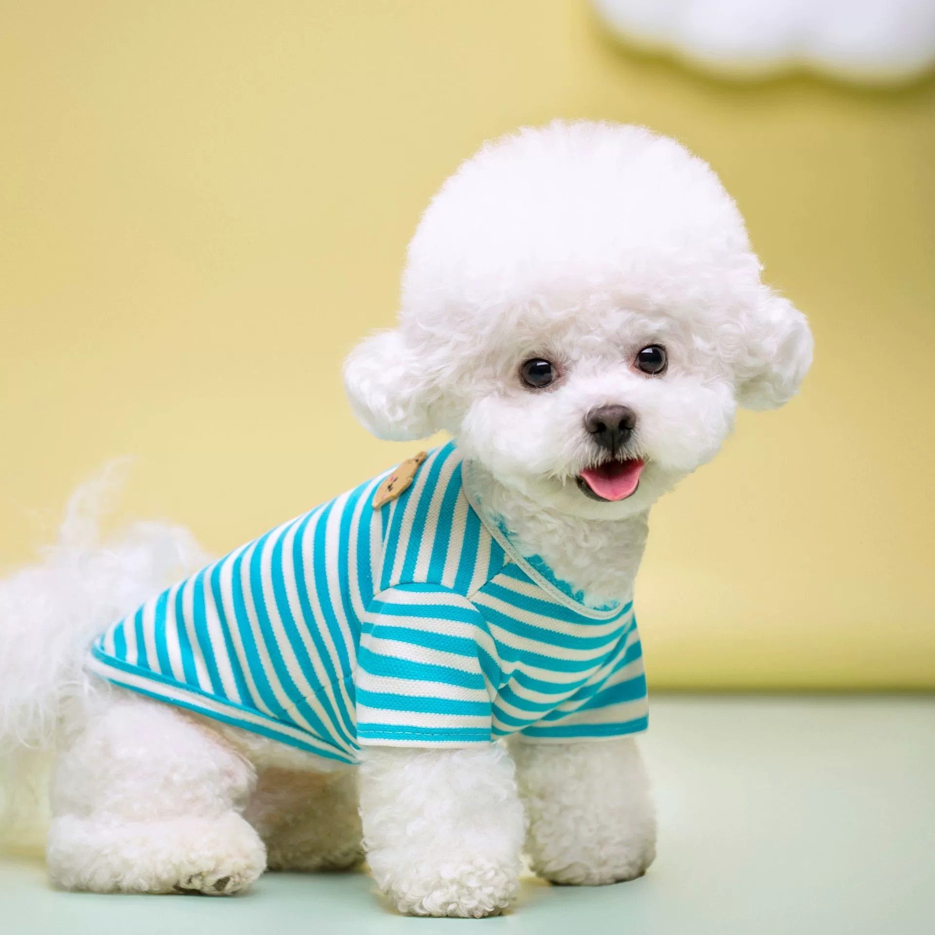 KFX-9454269 Breathable Cotton T-Shirt for Pets in Blue, Pink, Green, Purple, and Yellow - Sizes S to 2XL