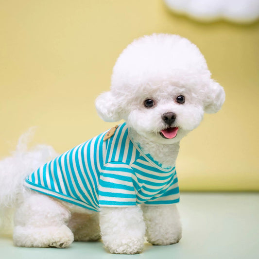 KFX-9454269 Breathable Cotton T-Shirt for Pets in Blue, Pink, Green, Purple, and Yellow - Sizes S to 2XL
