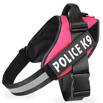KFX-9464509 Expandable Polyester Dog Leash for Comfortable Control