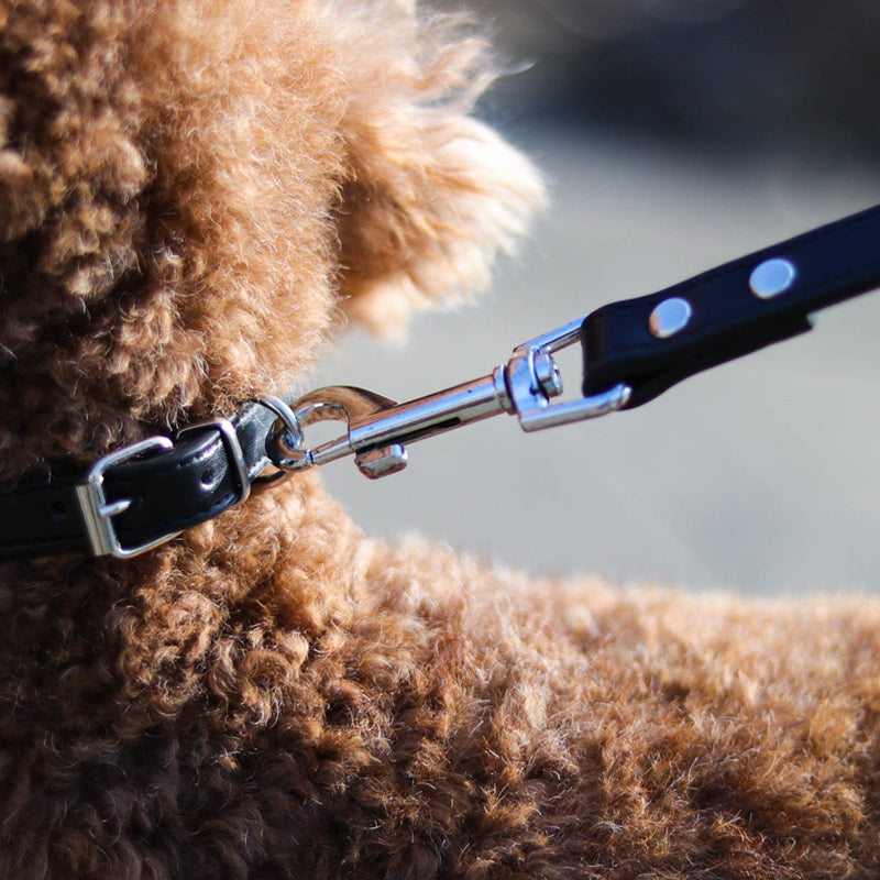KFX-9465021 Leather Pet Leash and Collar Set - Small and Medium Sizes Available