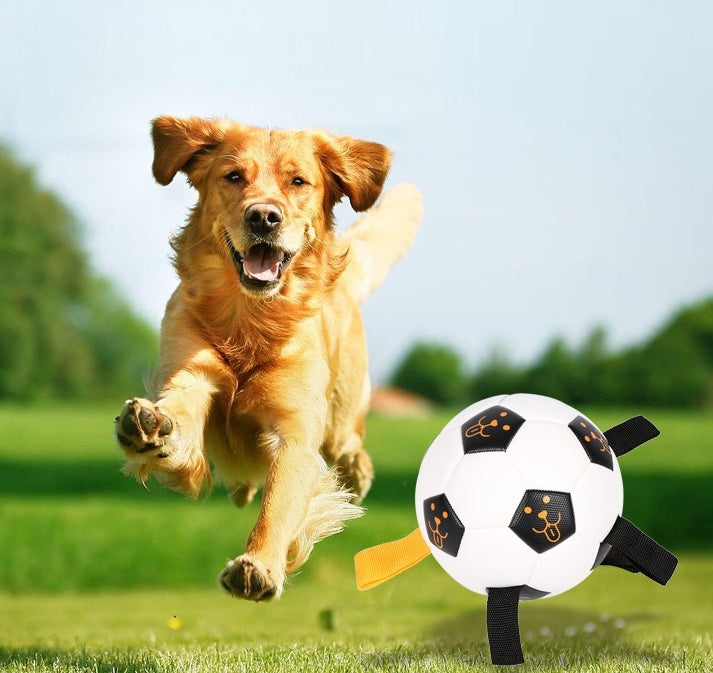 KFX-9466045 Multifunctional TPU Dog Training Ball with Rope – 17CM Outdoor Play Toy
