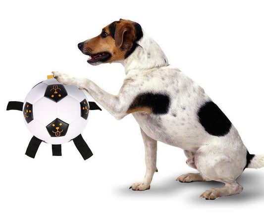 KFX-9466045 Multifunctional TPU Dog Training Ball with Rope – 17CM Outdoor Play Toy