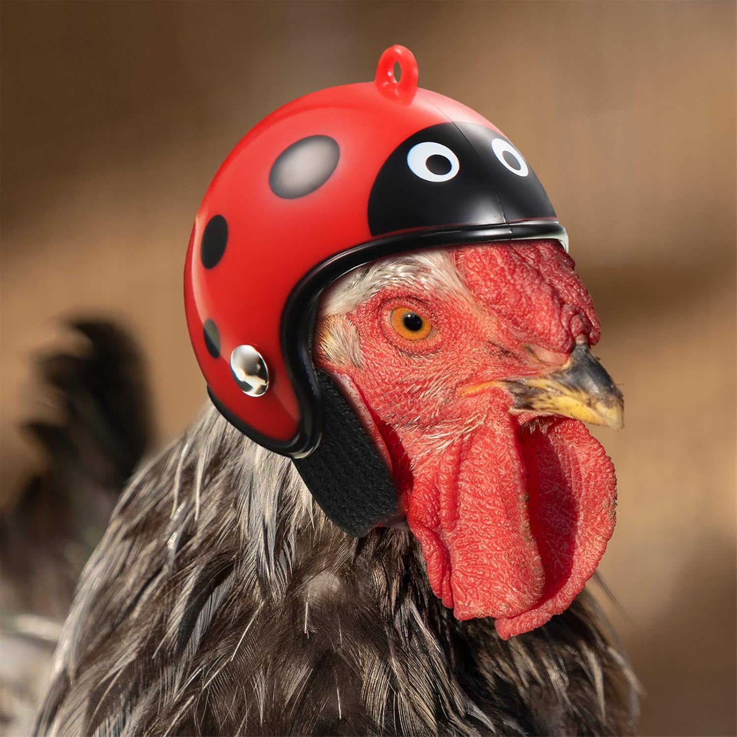 KFX-9472445 Adjustable Chicken Helmet with Sponge Lining - Protective Headwear for Small Pets and Birds