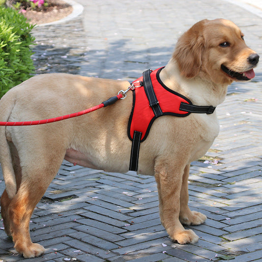KFX-9480509 Reflective Nylon Dog Harness and Leash Set for Medium to Large Dogs - Padded and Safe for Travel
