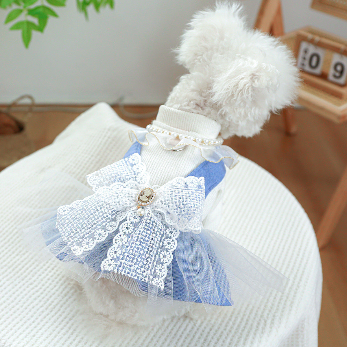 KFX-9481277 Pet Dress with Pearl Lace for Dogs and Cats - Stylish Casual Clothing in Various Sizes