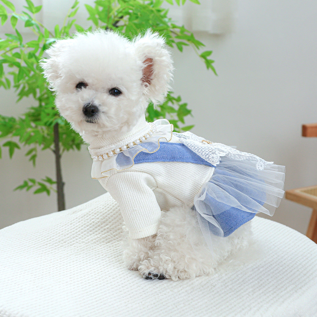 KFX-9481277 Pet Dress with Pearl Lace for Dogs and Cats - Stylish Casual Clothing in Various Sizes