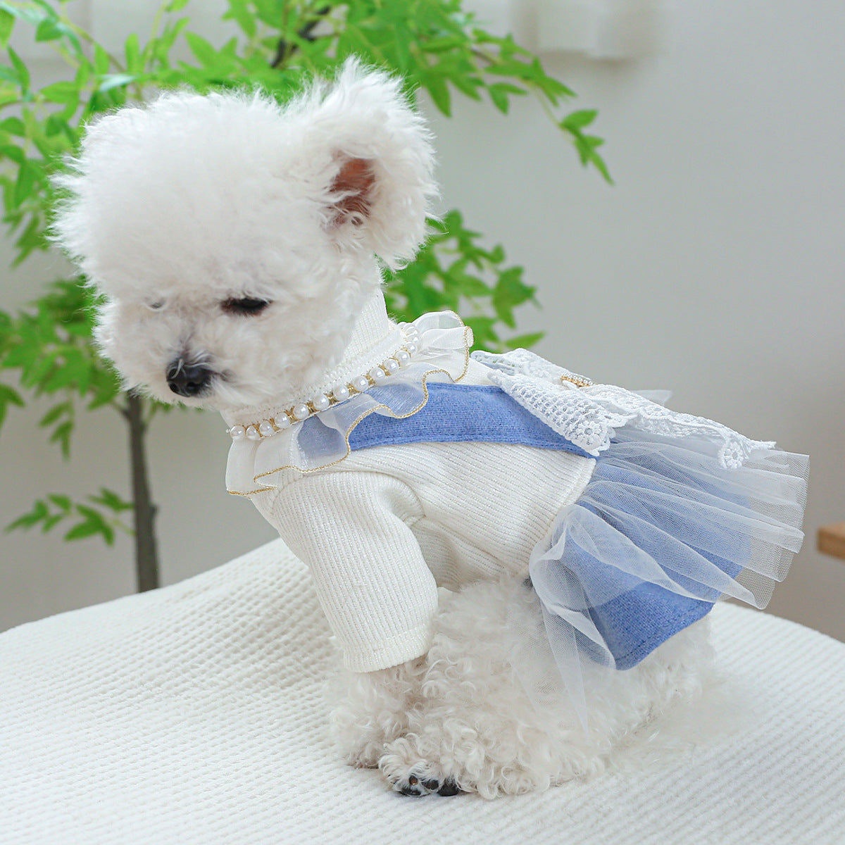 KFX-9481277 Pet Dress with Pearl Lace for Dogs and Cats - Stylish Casual Clothing in Various Sizes