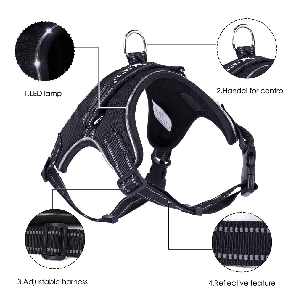 KFX-9485757 LED Glow-in-the-Dark Adjustable Dog Collar with Reflective Strips and Waterproof Design