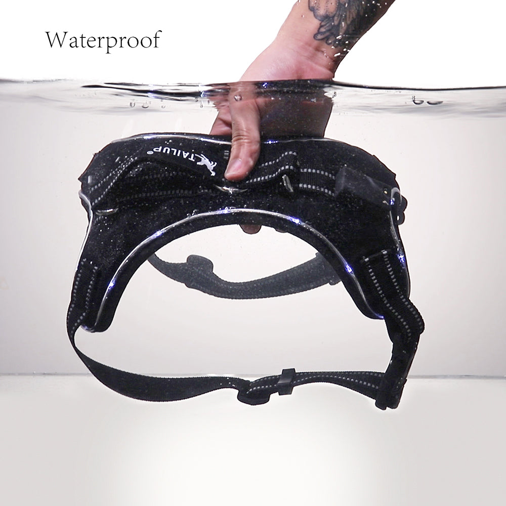 KFX-9485757 LED Glow-in-the-Dark Adjustable Dog Collar with Reflective Strips and Waterproof Design