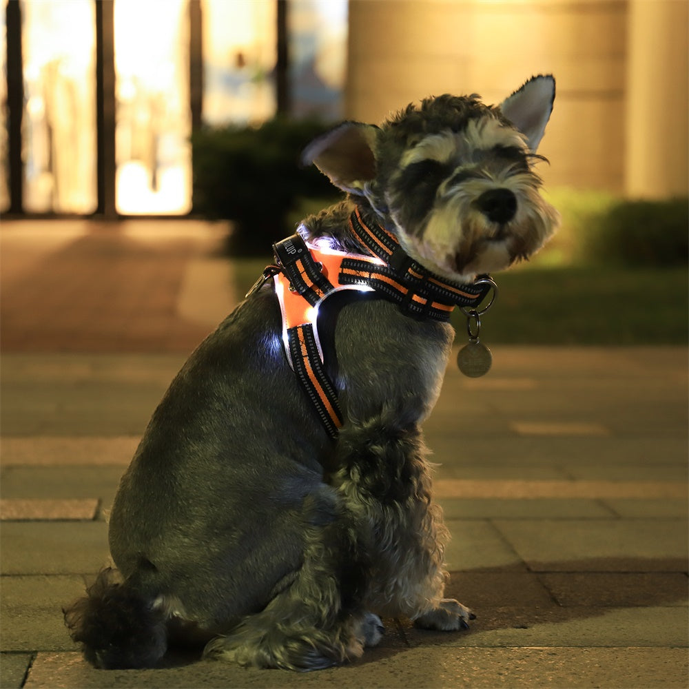 KFX-9485757 LED Glow-in-the-Dark Adjustable Dog Collar with Reflective Strips and Waterproof Design